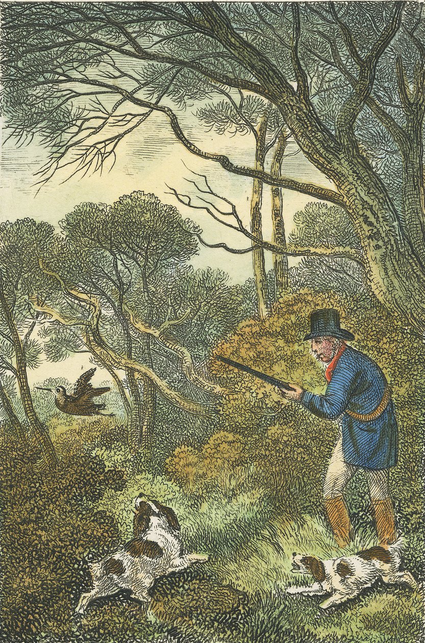 Woodcock Shooting, 1819 (håndfarvet gravering) af Samuel Howitt