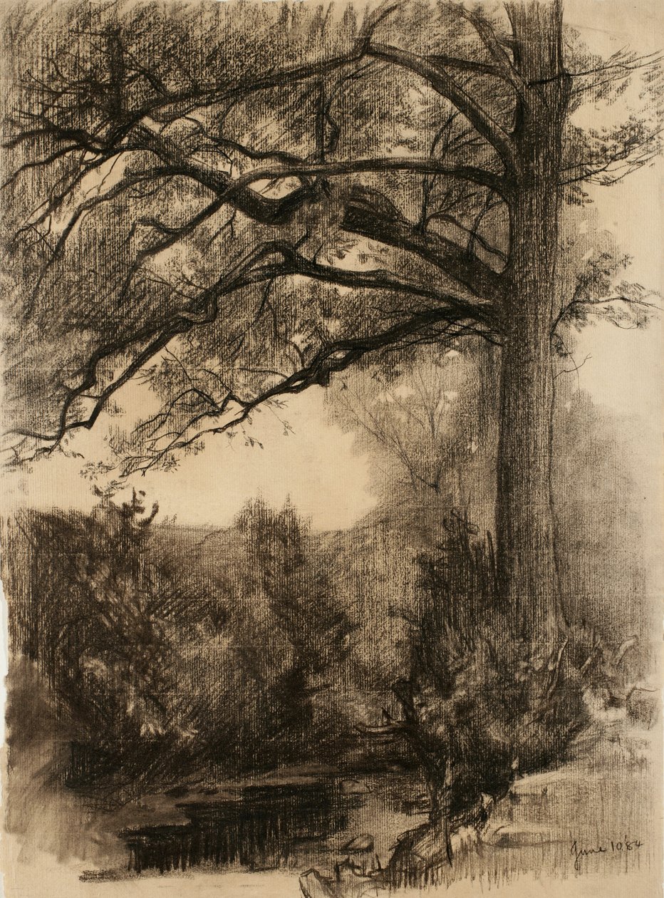 Landskab med stort træ, 1884 (trækul på bopapir) af Samuel Isham