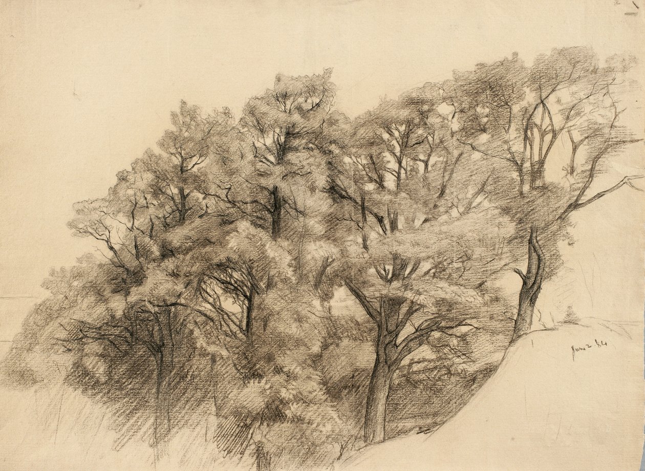 Landskab med træer, 1884 (trækul på bopapir) af Samuel Isham