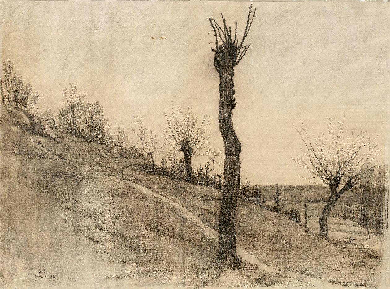 Sen vinterlandskab, 1884 (trækul på buff bindet papir) af Samuel Isham