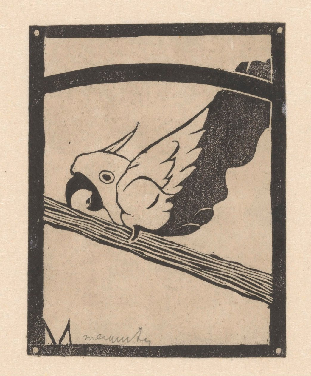 Daddy (skrigende kakadue) af Samuel Jessurun de Mesquita (signed by artist)