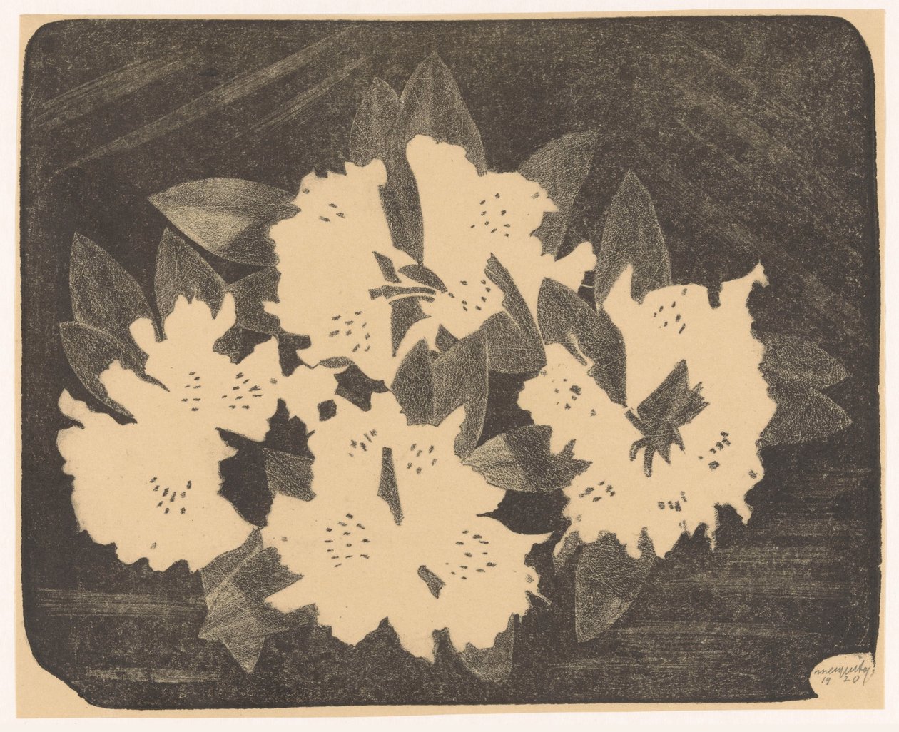 Rhododendron af Samuel Jessurun de Mesquita (signed by artist)