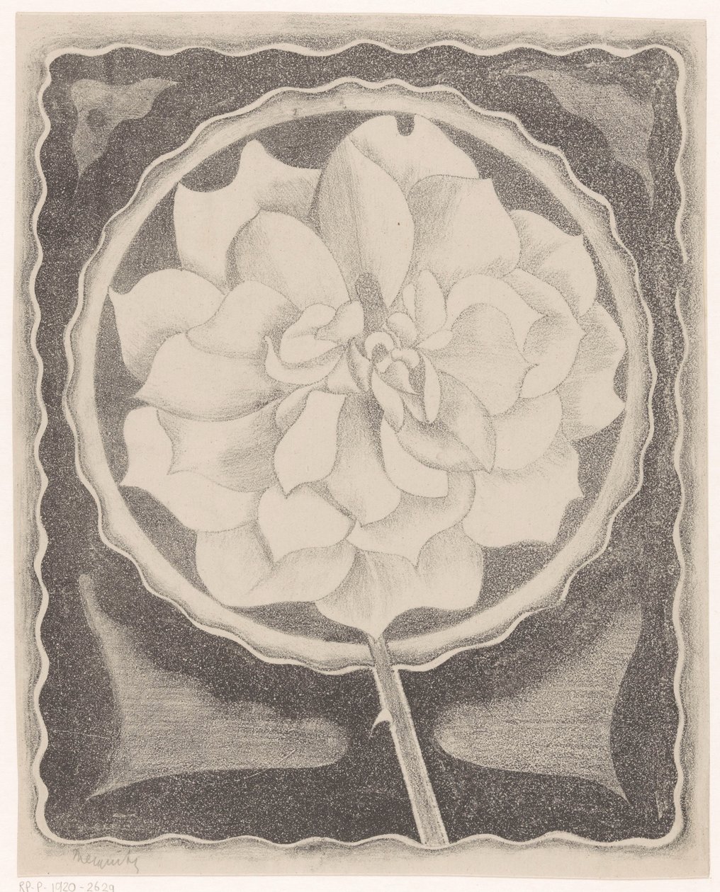 Roos af Samuel Jessurun de Mesquita (signed by artist)