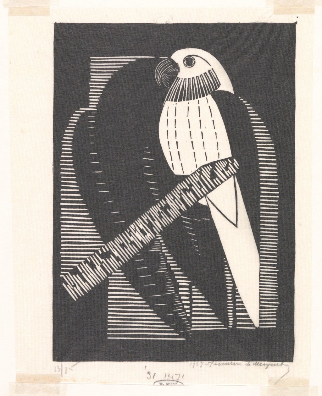 Parakit (parakitter) af Samuel Jessurun de Mesquita