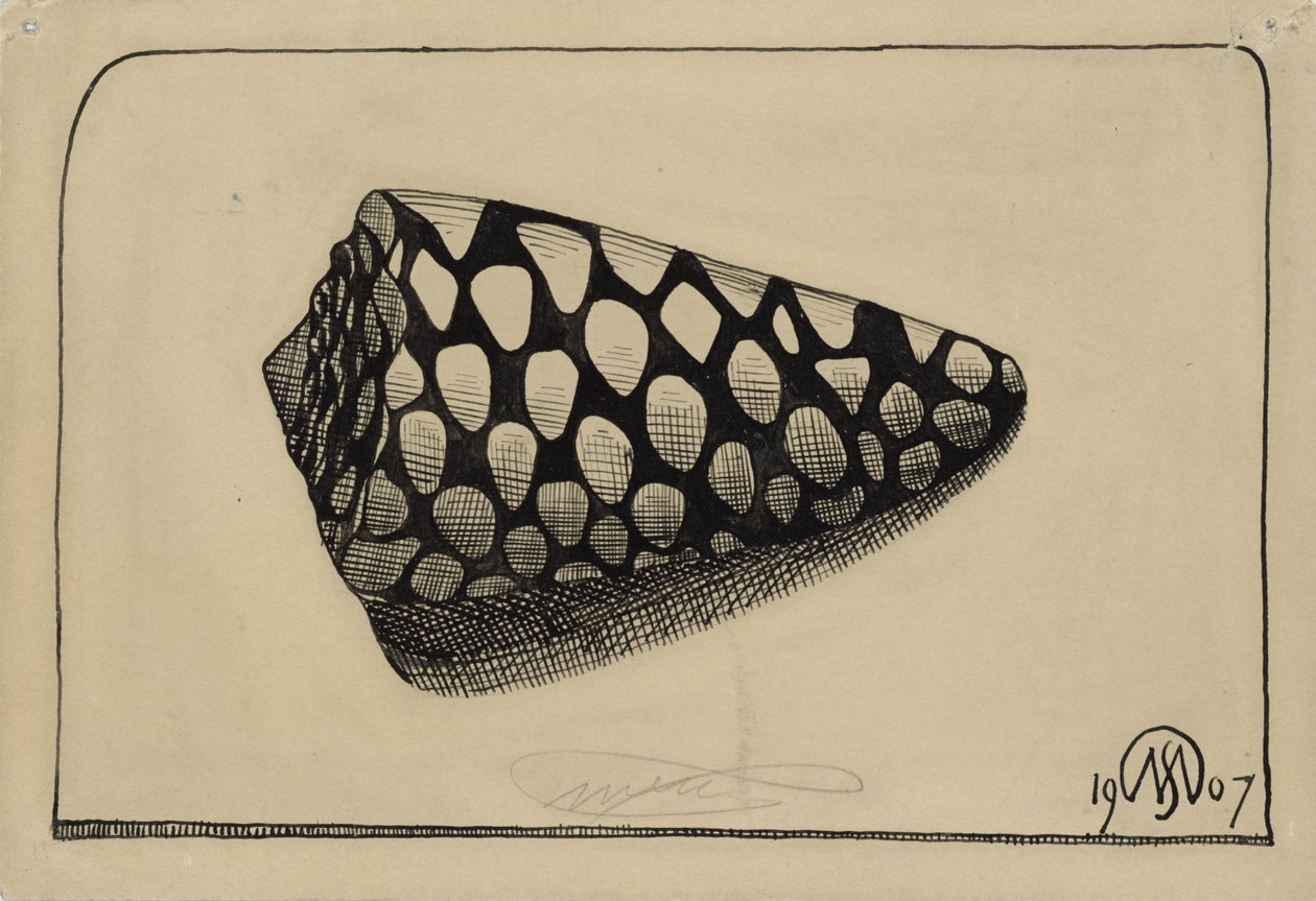 Shell, til højre af Samuel Jessurun de Mesquita