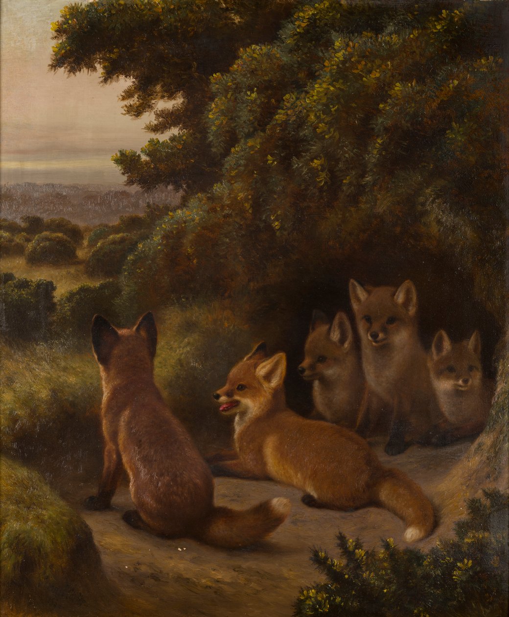 Et kuld ræveunger, ca. 1855-92 (olie på lærred) af Samuel John Carter
