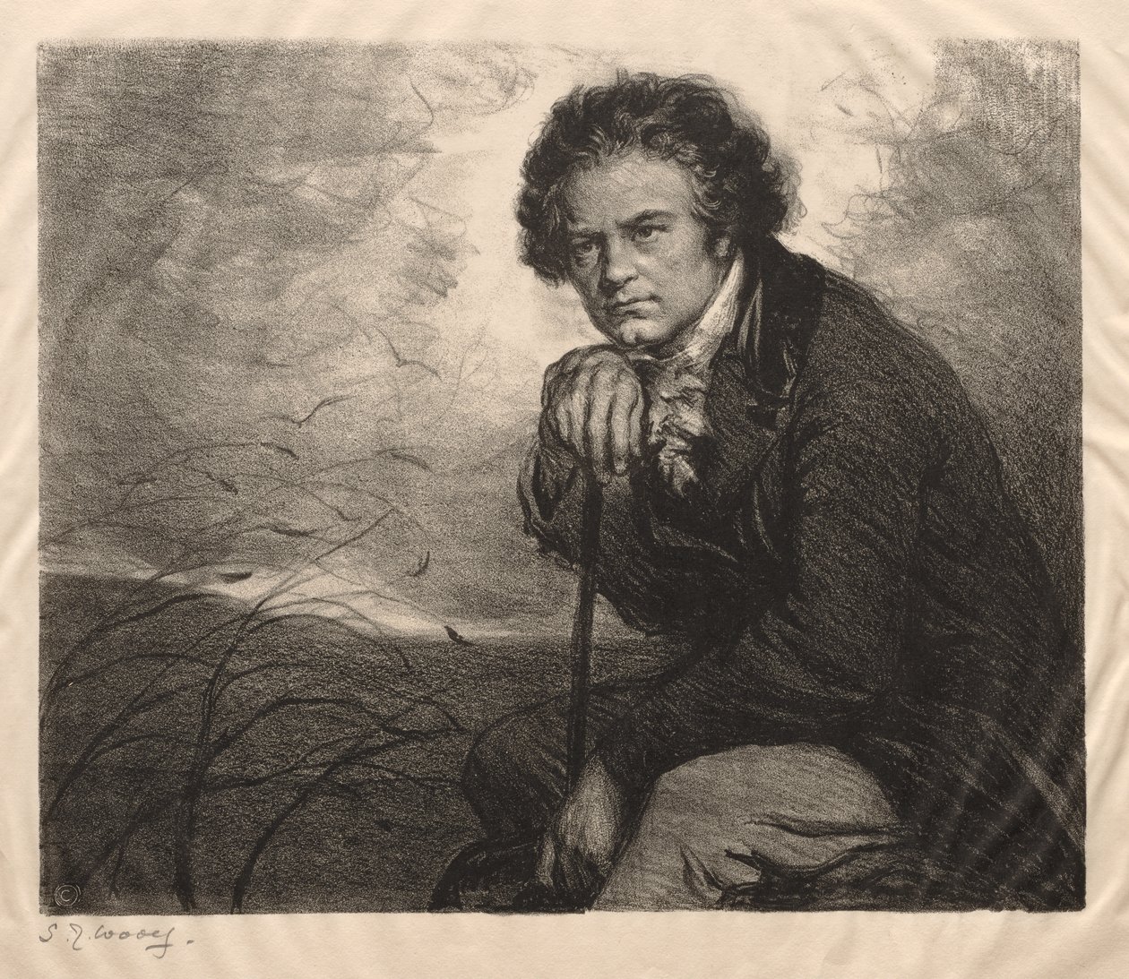 Beethoven af Samuel Johnson Woolf