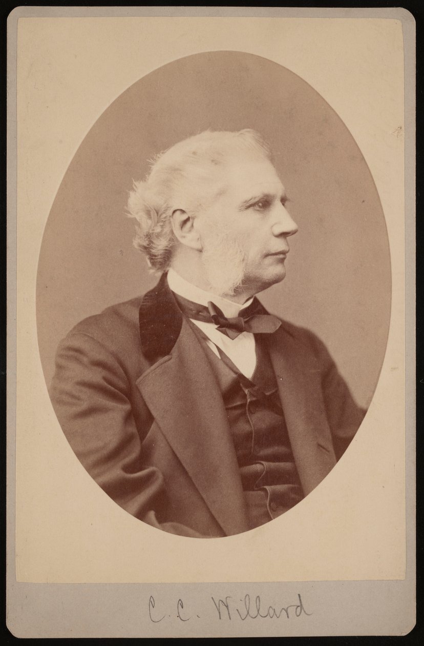 Portræt af Joseph Clapp Willard 1820-1897, 1878. af Samuel Montague Fassett