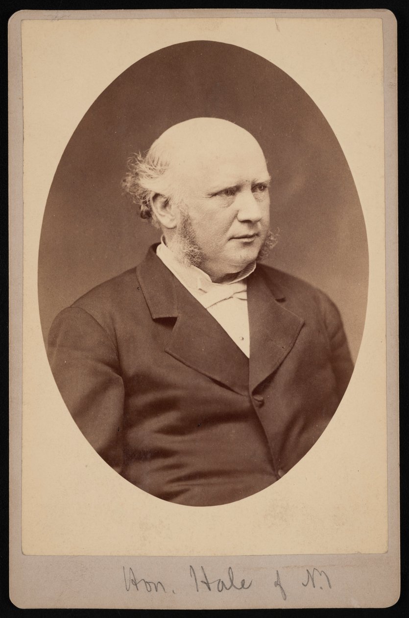 Portræt af Robert Safford Hale 1822-1881, før 1881. af Samuel Montague Fassett
