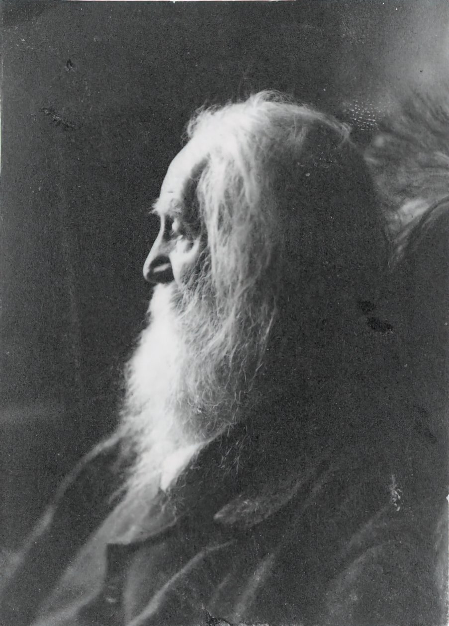 Walt Whitman i Camden, N.J., ca. 1891. af Samuel Murray