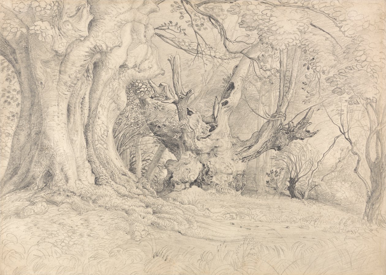 Gamle træer, Lullingstone Park af Samuel Palmer