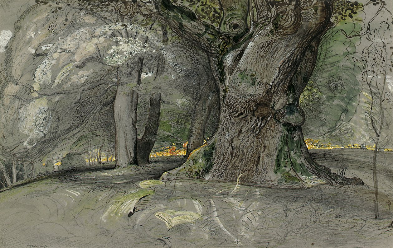 Egetræ og bøg, Lullingstone Park af Samuel Palmer