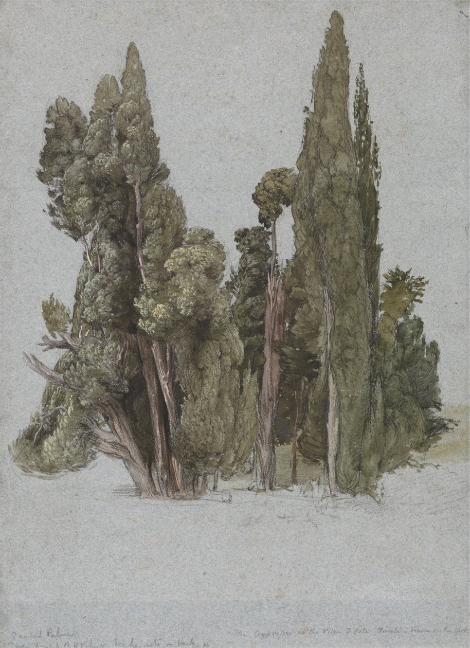 Cypresserne ved Villa d