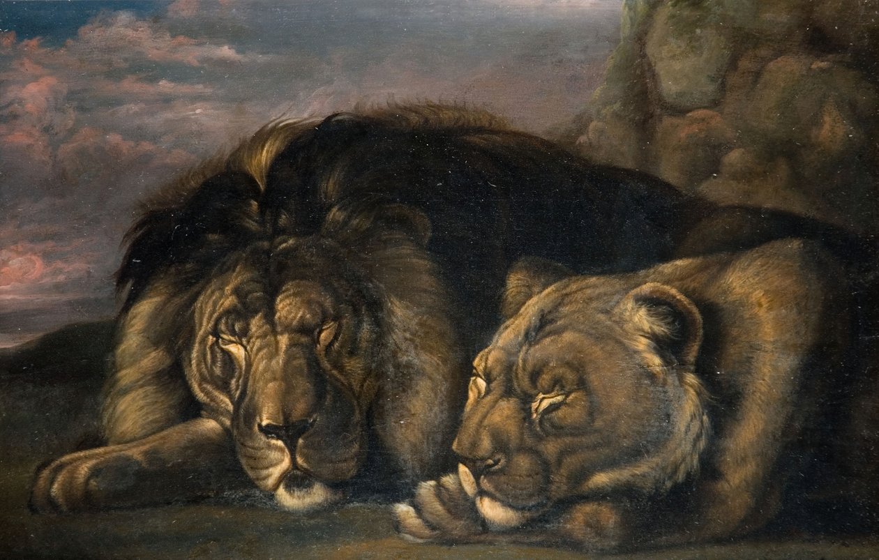 Sovende løve og løvinde 1823-1830. af Samuel Raven