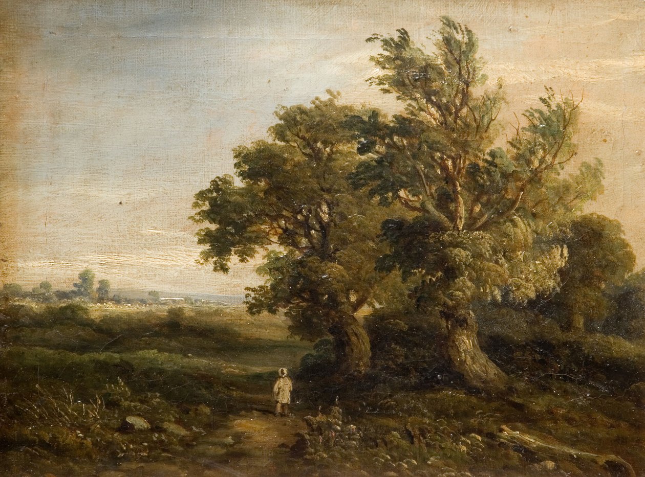 Landskab med træer, 1863. af Samuel Restell Lines