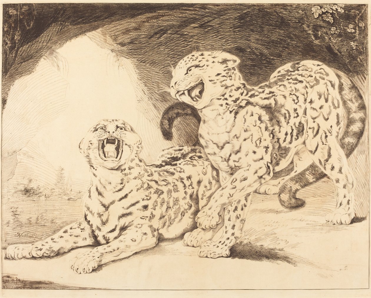 Leoparder af Samuel William Reynolds I after James Northcote