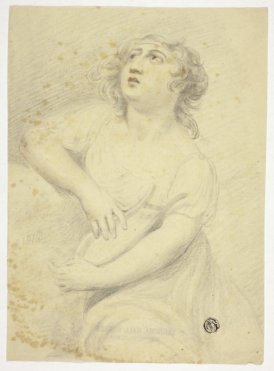 Kvinde med Lyre af Samuel de Wilde