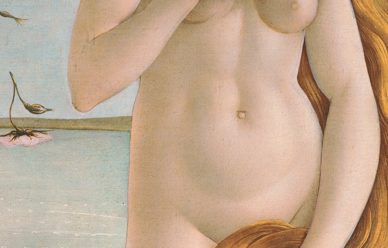 Venus fødsel, detalje af Venuss torso, 1484 tempera på lærredsdetaljer af Sandro Botticelli