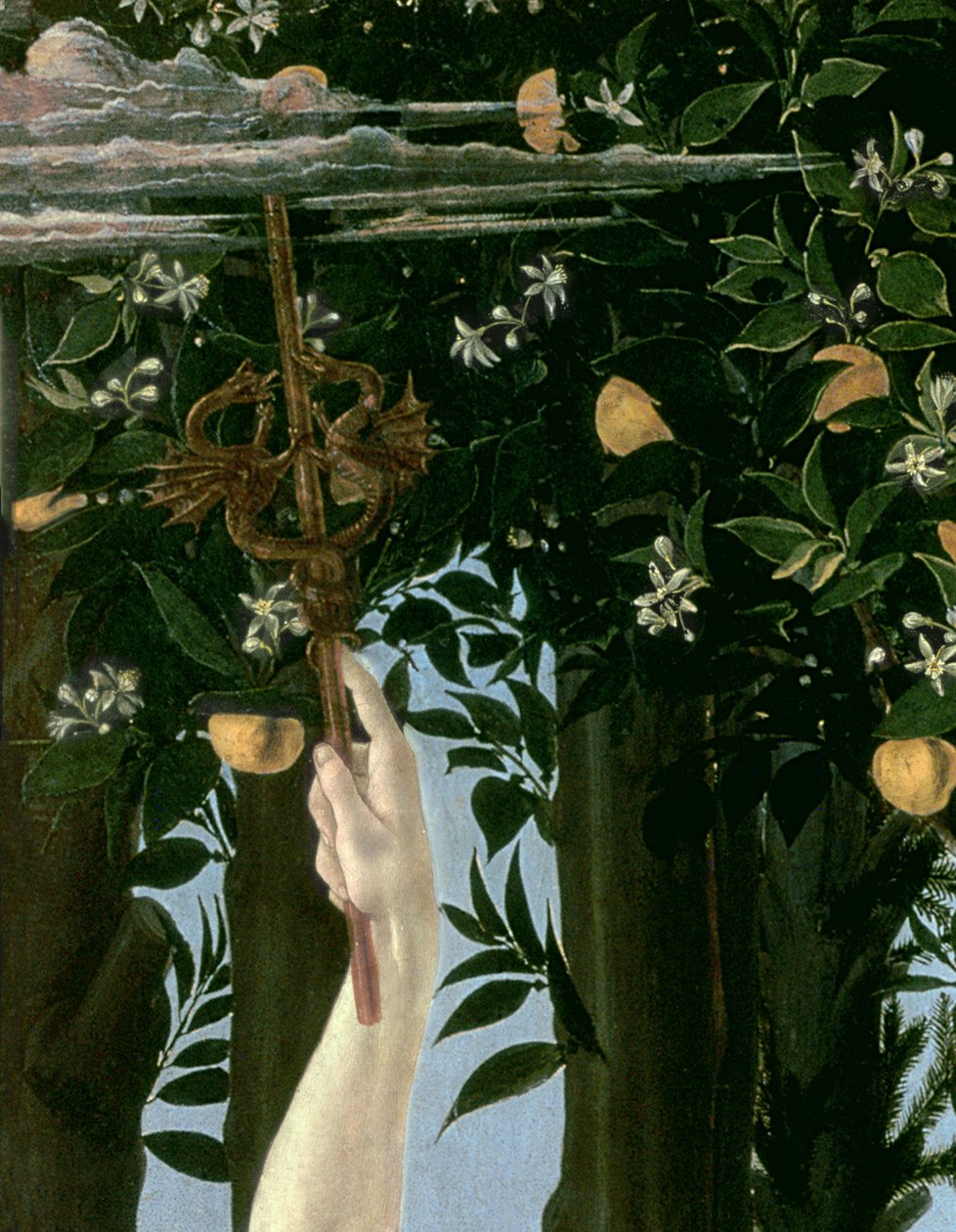 Primavera, ca. 1478, tempera på paneldetalje af 558 af Sandro Botticelli