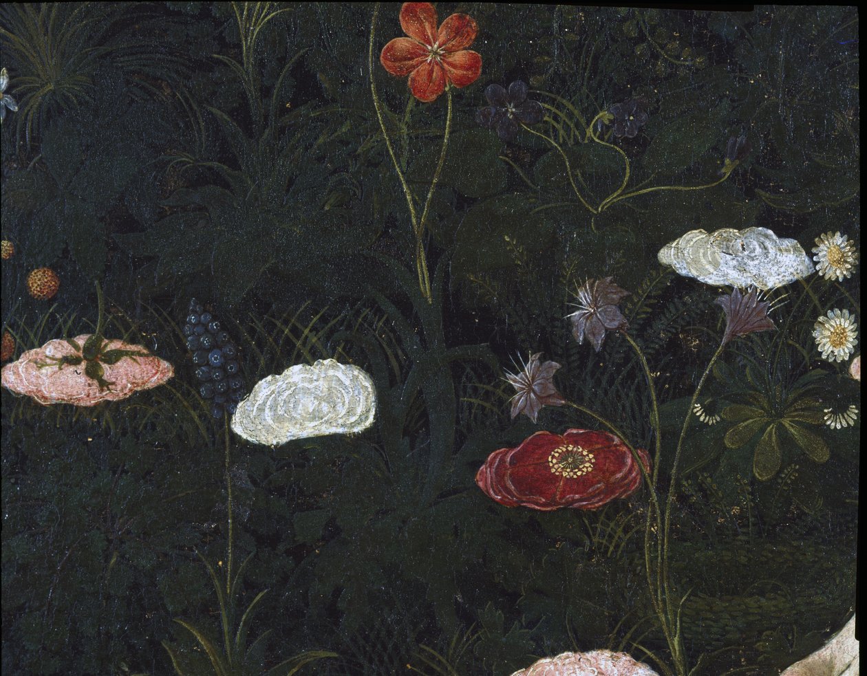 Primavera, ca. 1478, tempera på paneldetalje af 558 af Sandro Botticelli