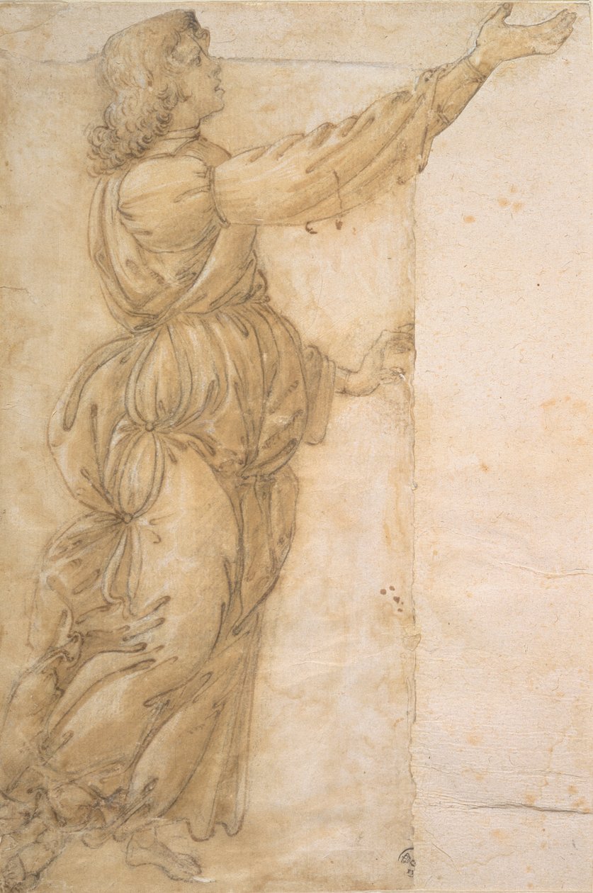 Studie af en engel (tegning) af Sandro Botticelli