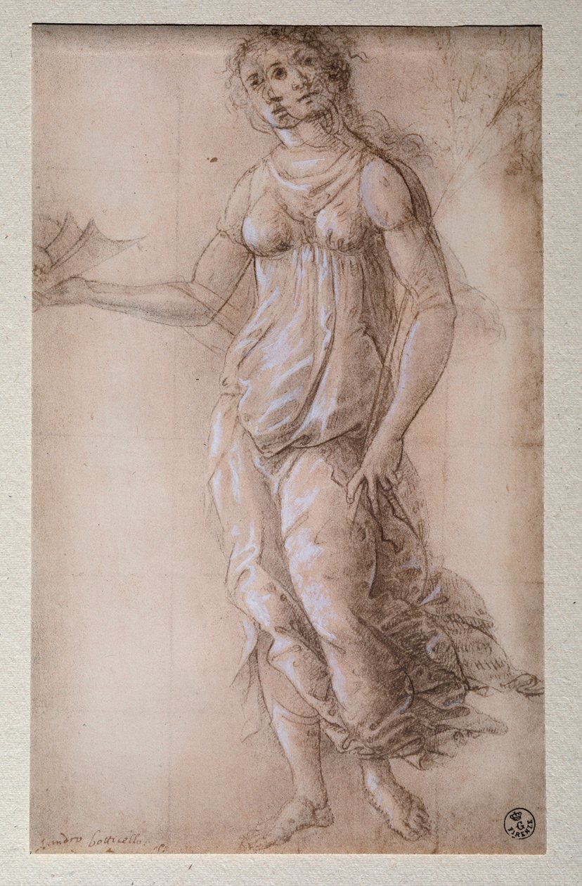 Pallas (Tegning, efter 1491) af Sandro Botticelli