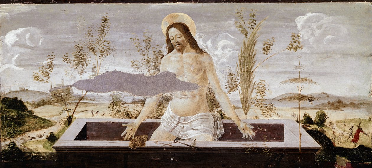 Pieta. Detalje af St Barnaba altertavle (tempera på træ af Sandro Botticelli