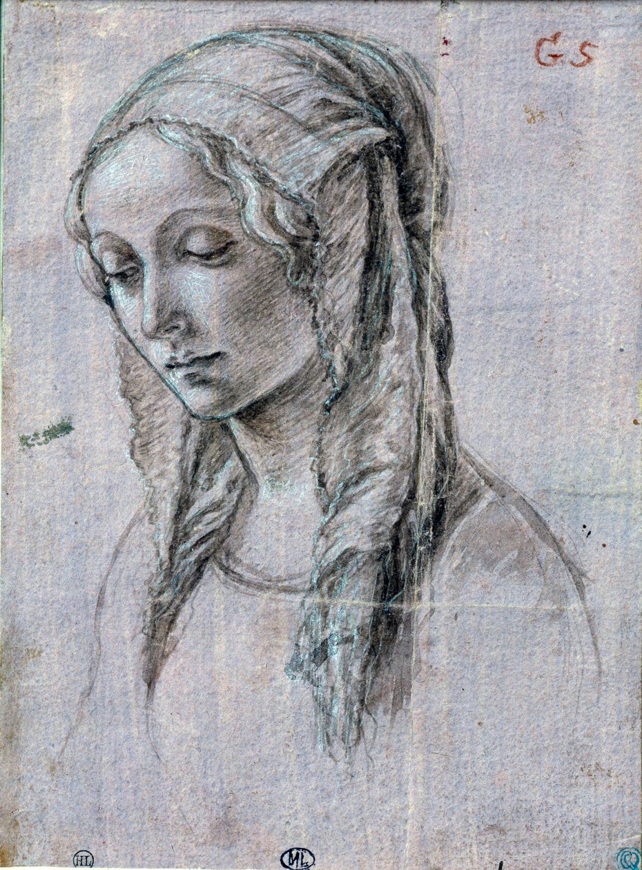 Ung kvindes hoved”” Penseltegning og hvide klapper tilskriver Alessandro di Mariano dei Filipepi dit Sandro Botticelli (1445-1510) Paris fra det 15. århundrede, Louvre-museet af Sandro (attr. to) Botticelli