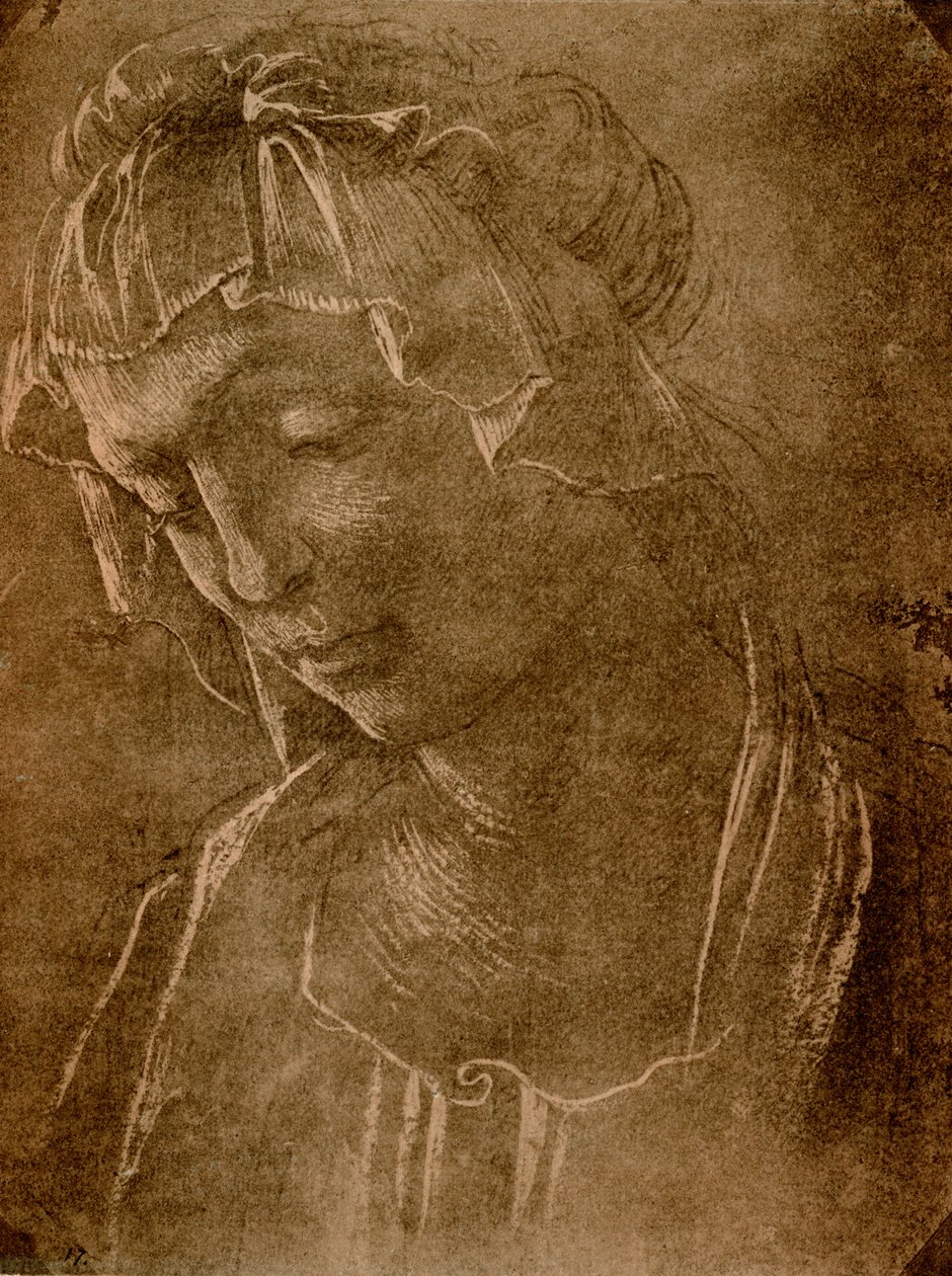 Kvindelig hoved af Sandro Botticelli
