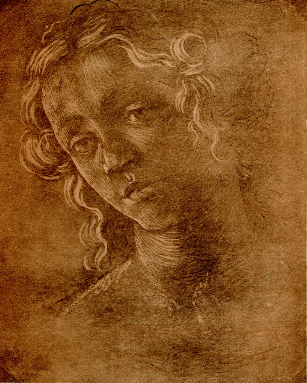 Kvindelig hoved af Sandro Botticelli