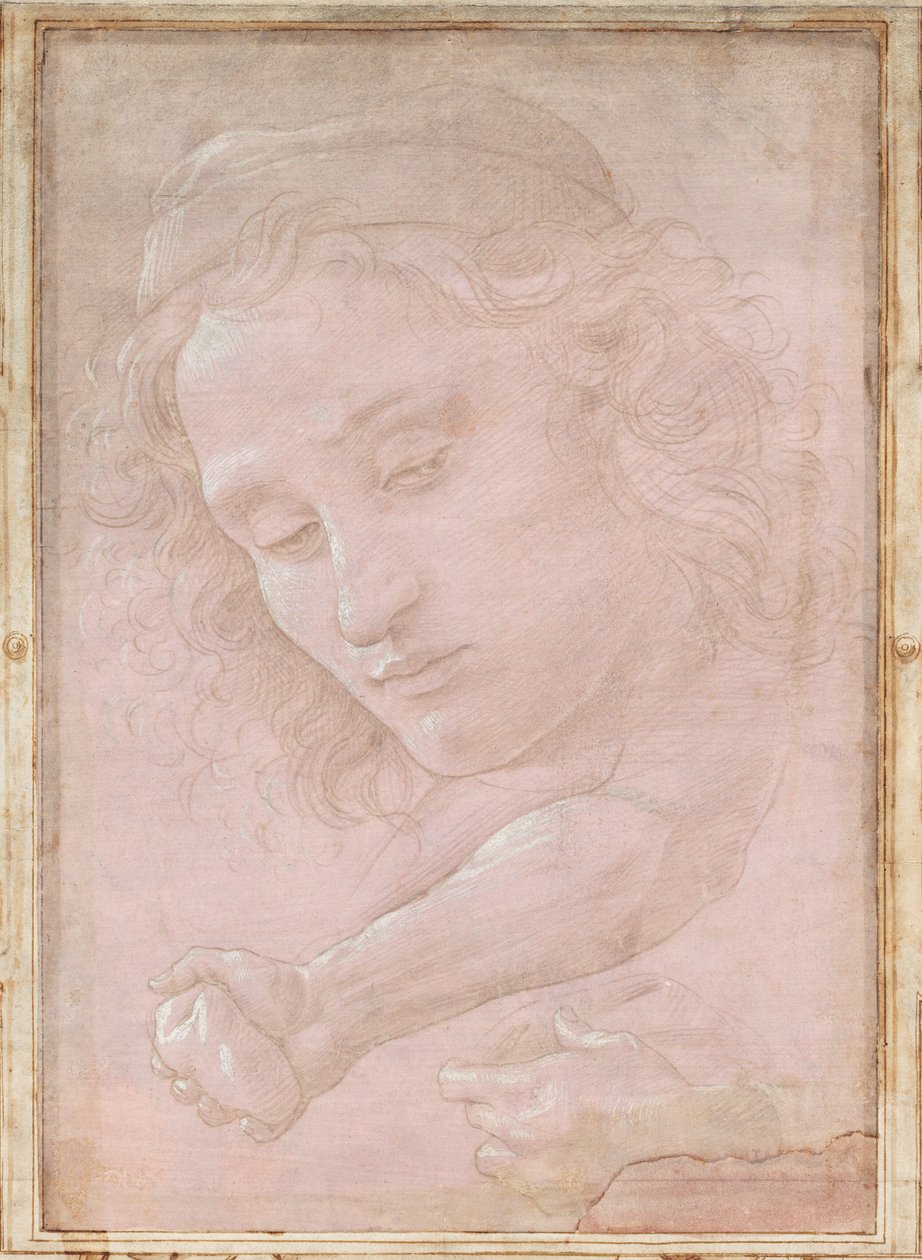 Leder af en ungdom iført kasket; en højre Underarm med Haanden, der griber en Sten; og en venstre hånd, der holder et draperi af Sandro Botticelli