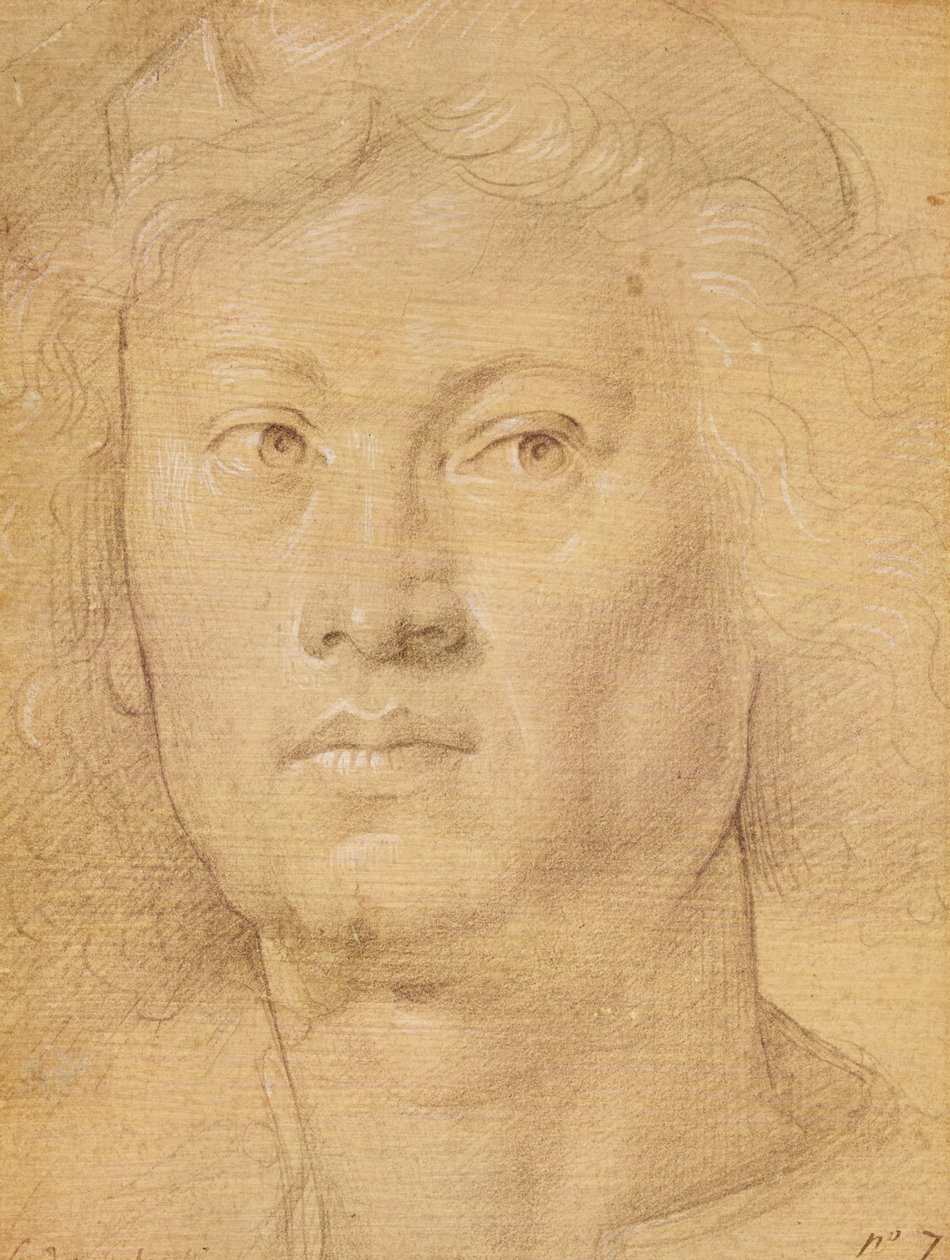 Hoved af en engel (blyant og farveblyant på papir) af Sandro Botticelli