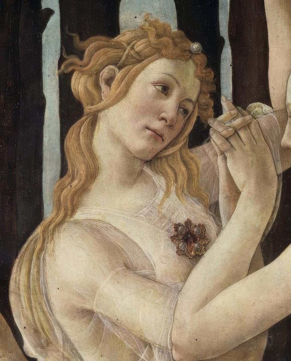 Forår af Sandro Botticelli