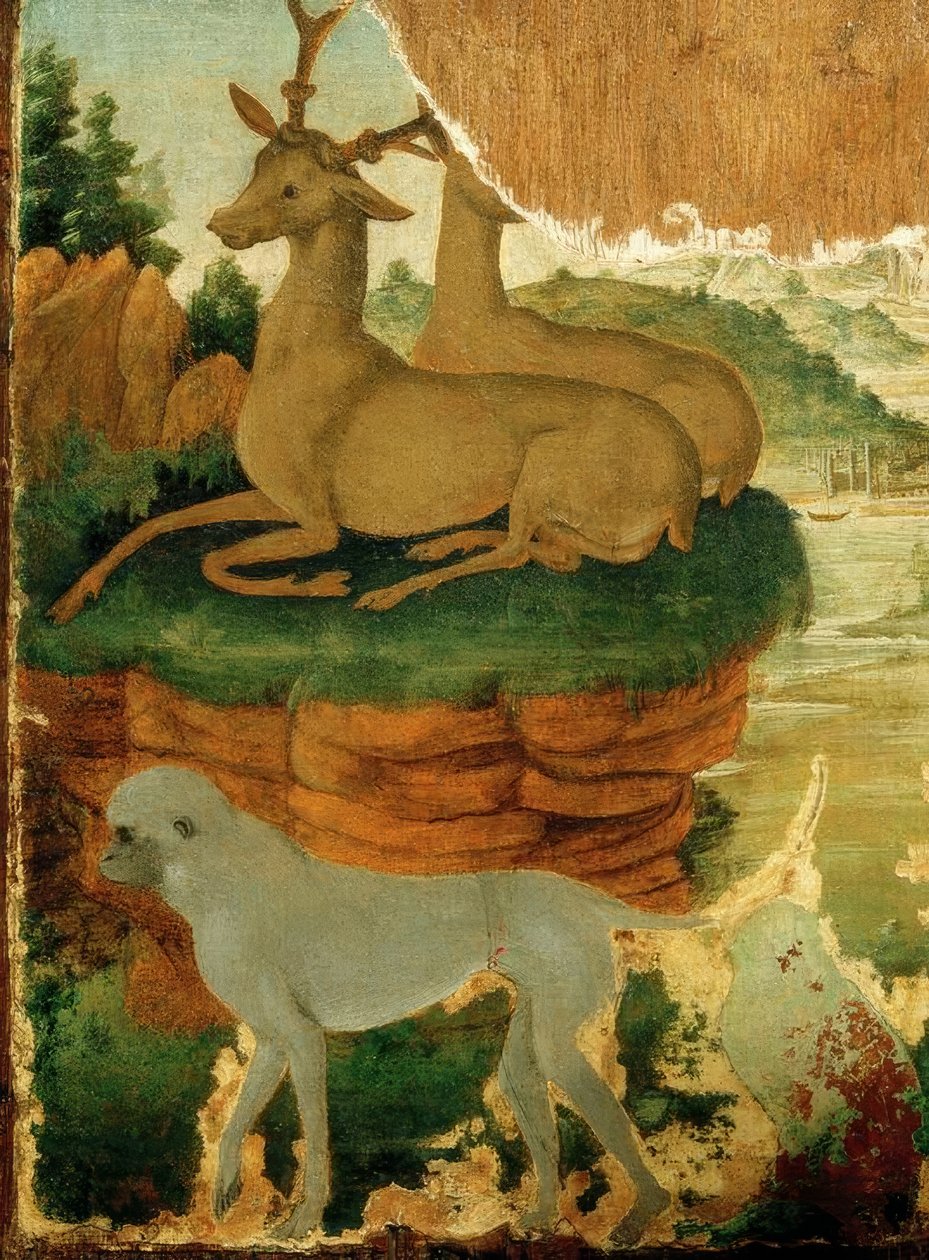 Landskab med Roebucks og aber af Sandro Botticelli