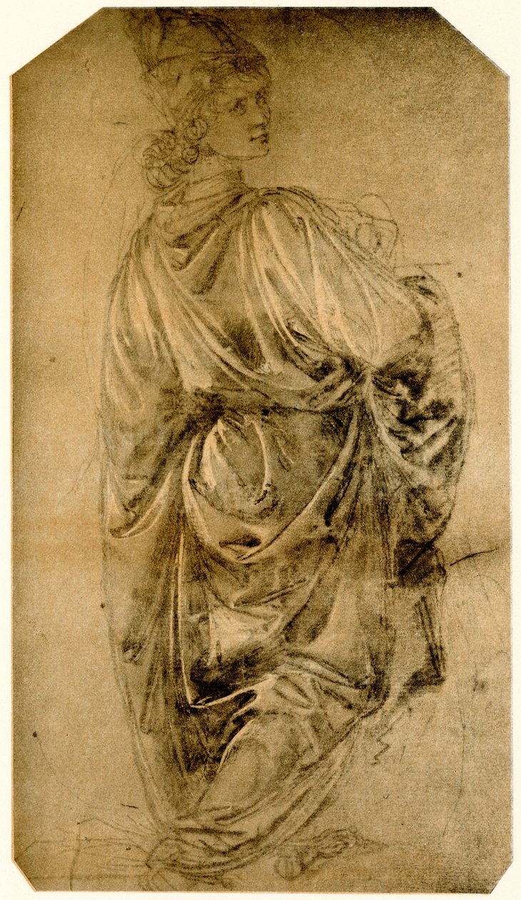 Studie af en ung mand af Sandro Botticelli