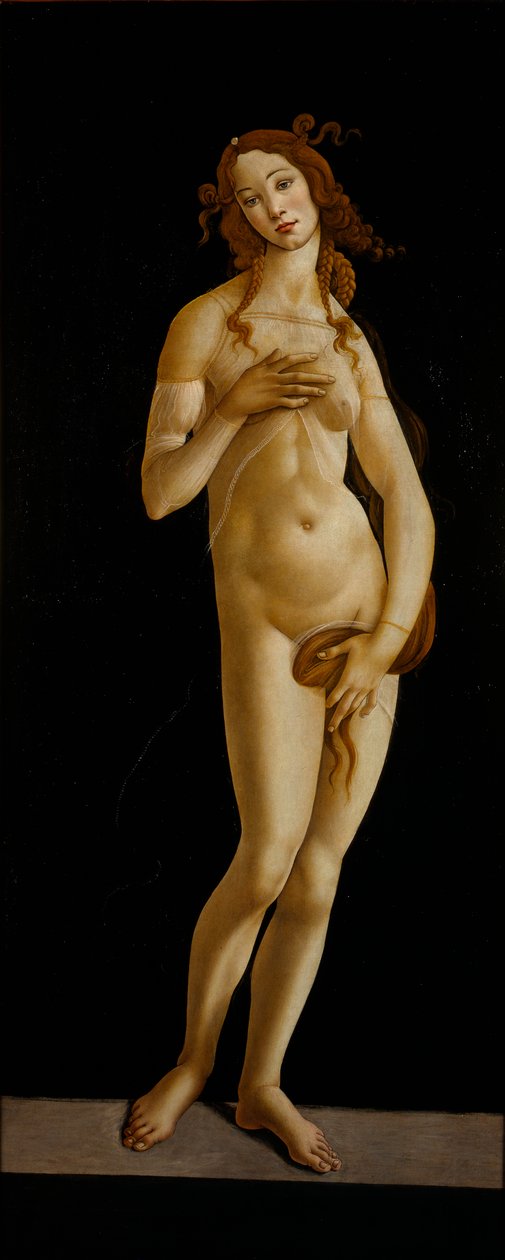 Venus Pudica, ca 1485-1490. af Sandro Botticelli