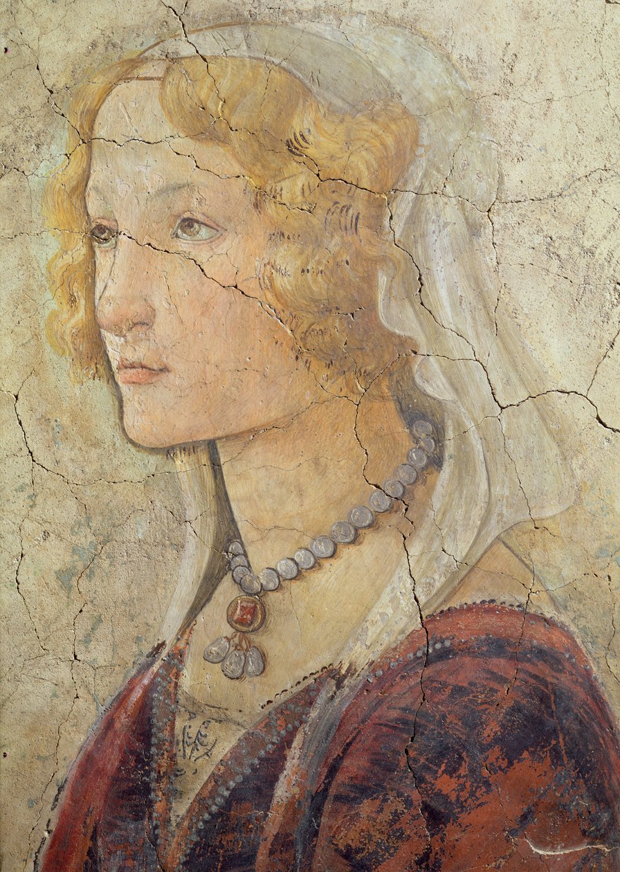 Venus og de tre nåder, der tilbyder gaver til en pige, detalje af pigernes hoved, 1486 freskodetalje fra 33760 se også 93892-93894 af Sandro Botticelli