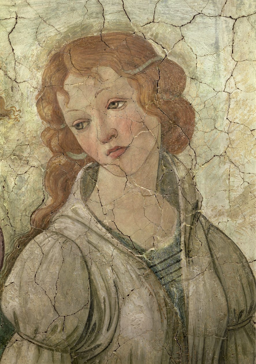Venus og de tre nåder tilbyder gaver til en ung pige, detalje af en af Graces freskomalerier fra 33760, se også 93891, 93893-4 af Sandro Botticelli