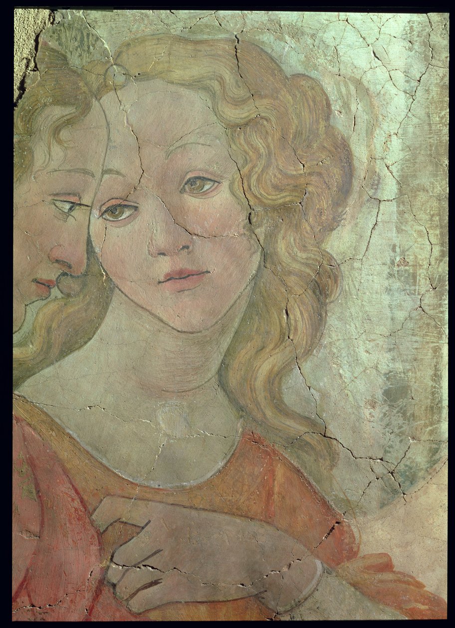 Venus og de tre nåder, der tilbyder gaver til en ung pige, detalje af en af nådegaverne, ca. 1483 freskodetalje fra 33760, se også 93891-2, 93894 af Sandro Botticelli