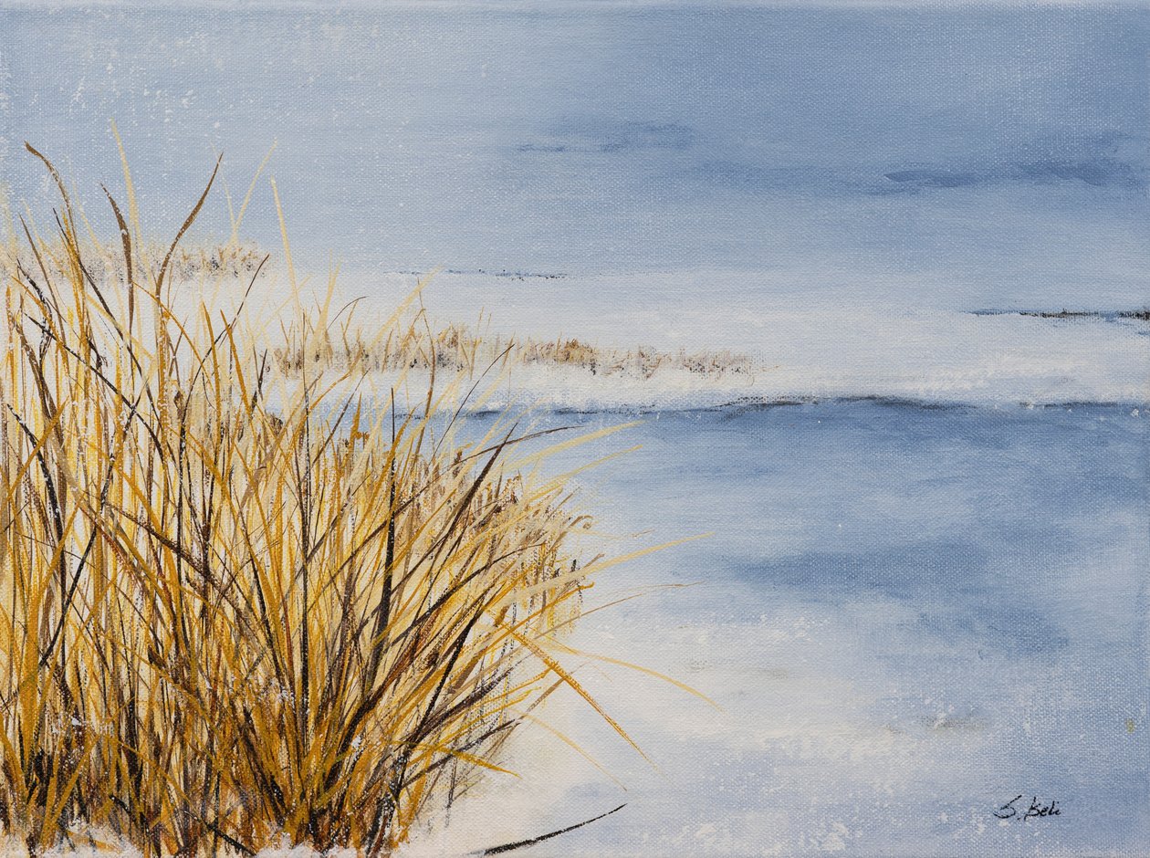  af Sandy Iseli