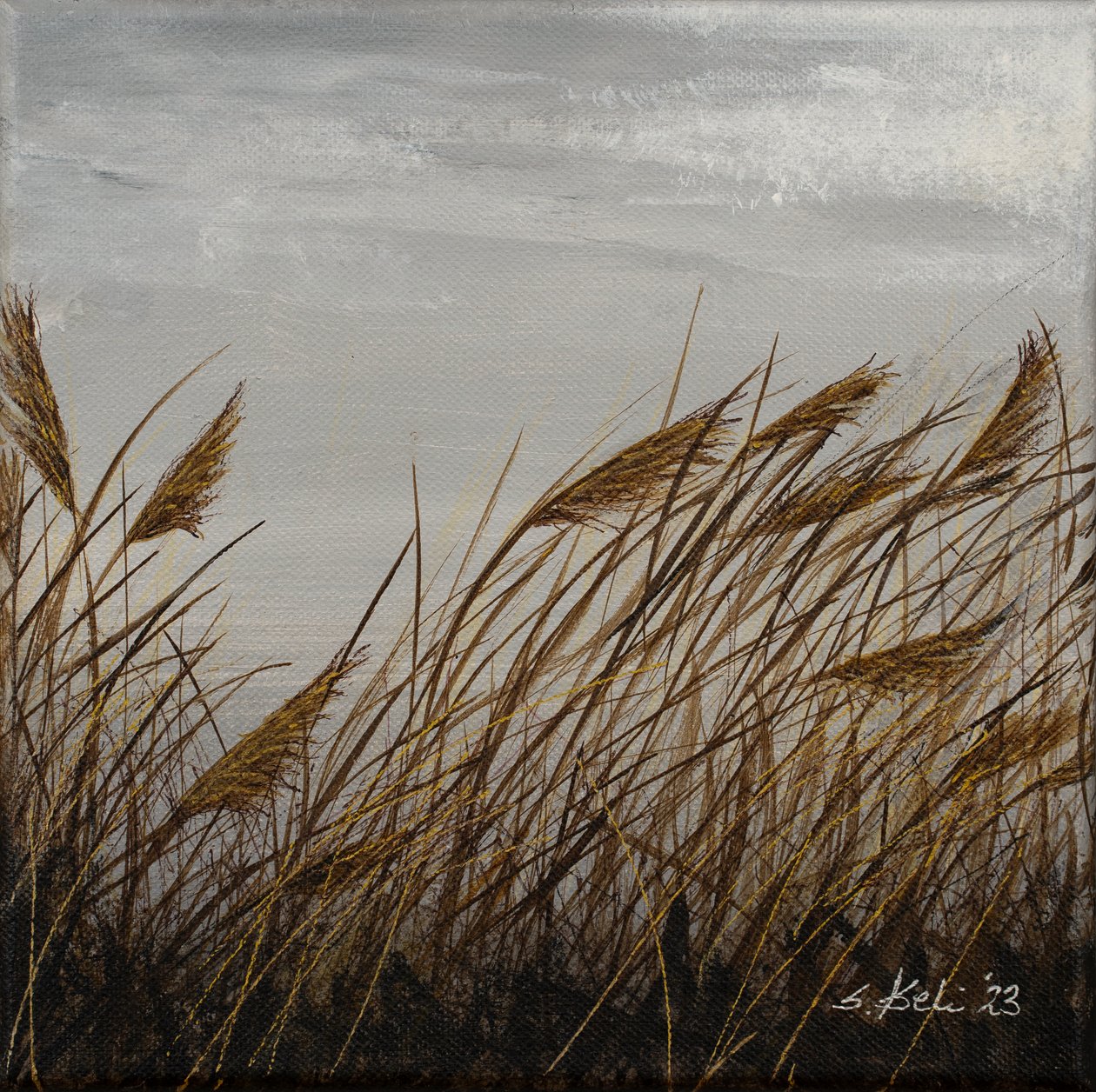  af Sandy Iseli