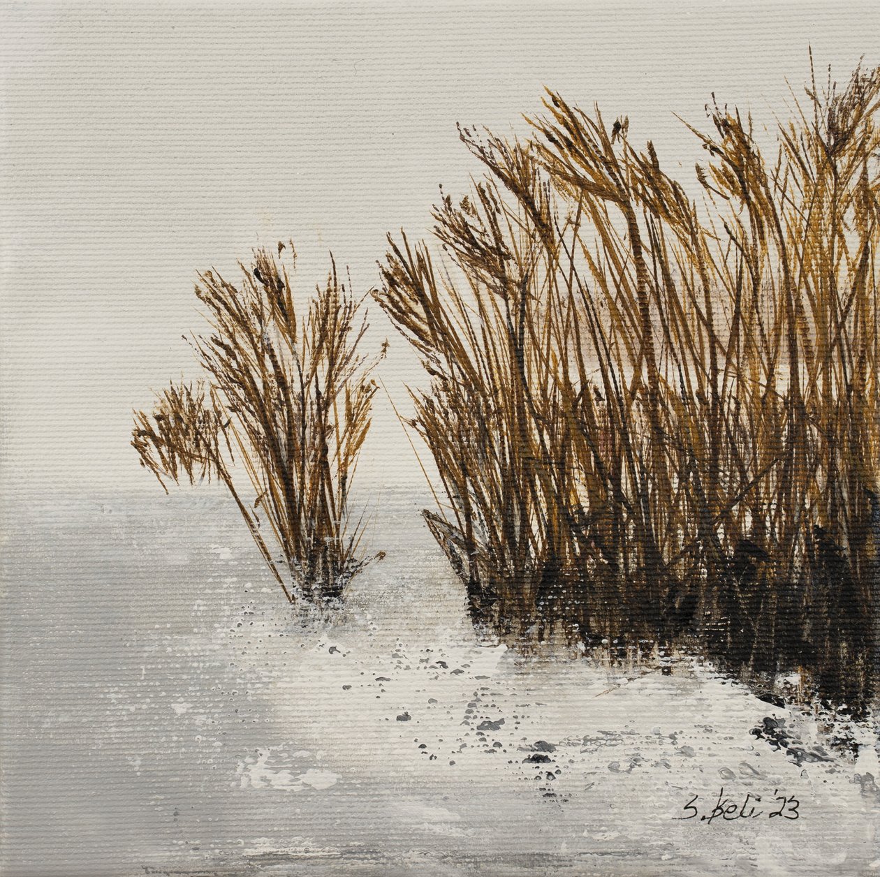  af Sandy Iseli