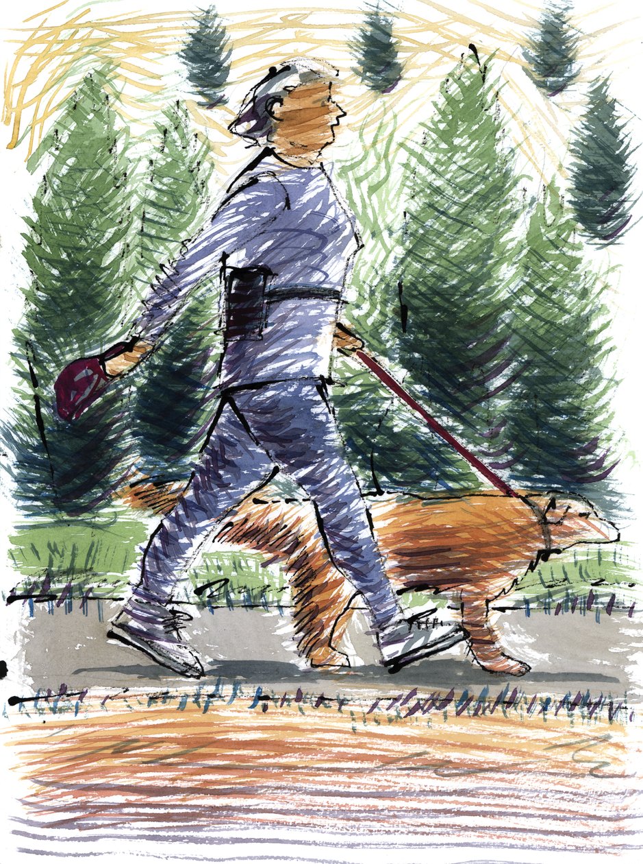 Walking the Dog, 2009 (akryl) af Sara Hayward