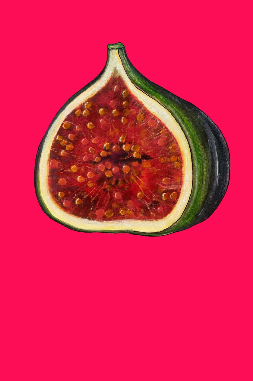 Fig, 2007 (olie og pastel på papir) af Sarah Thompson Engels