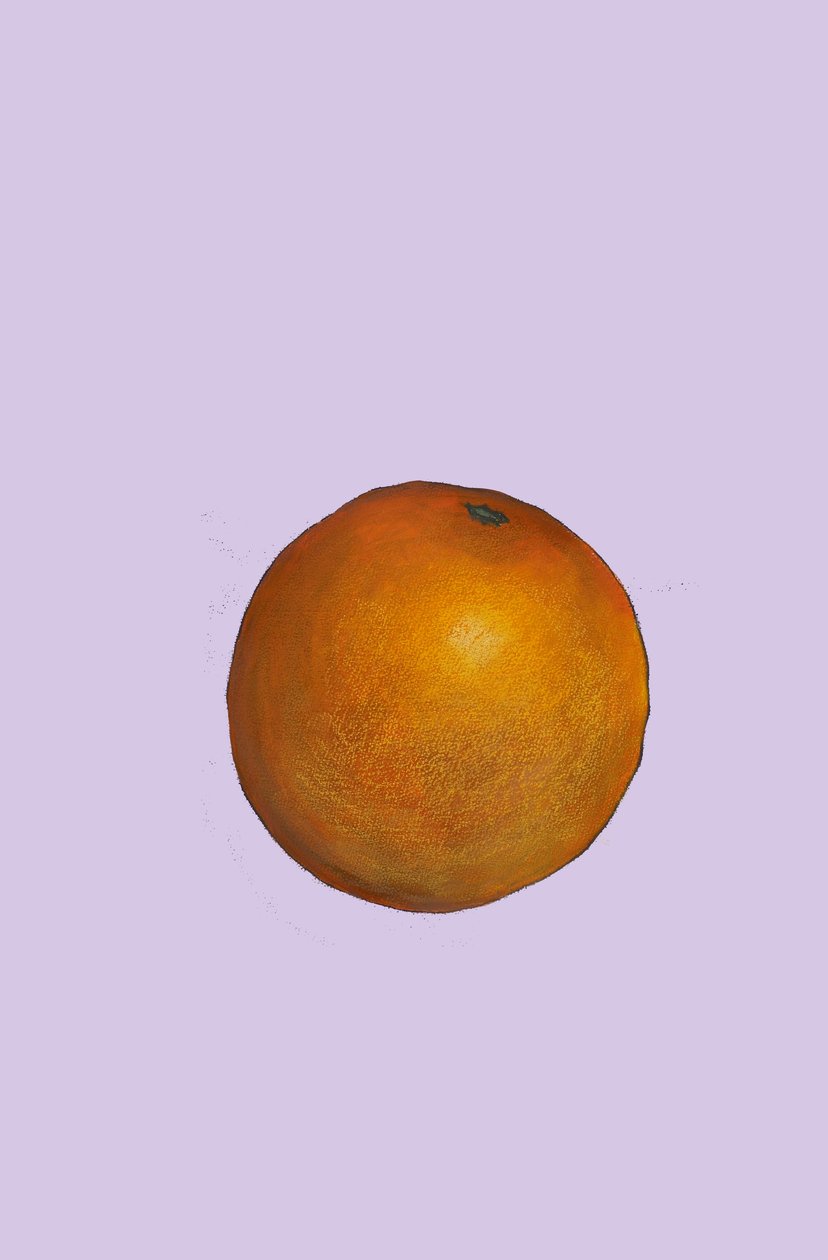 Orange, 2007 (olie og pastel på papir) af Sarah Thompson Engels