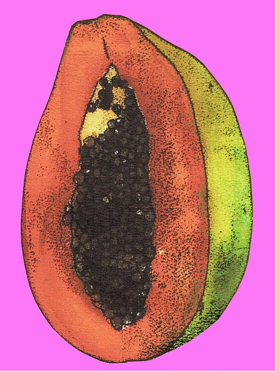 Papaya, 2009 (olie og blæk på papir) af Sarah Thompson Engels