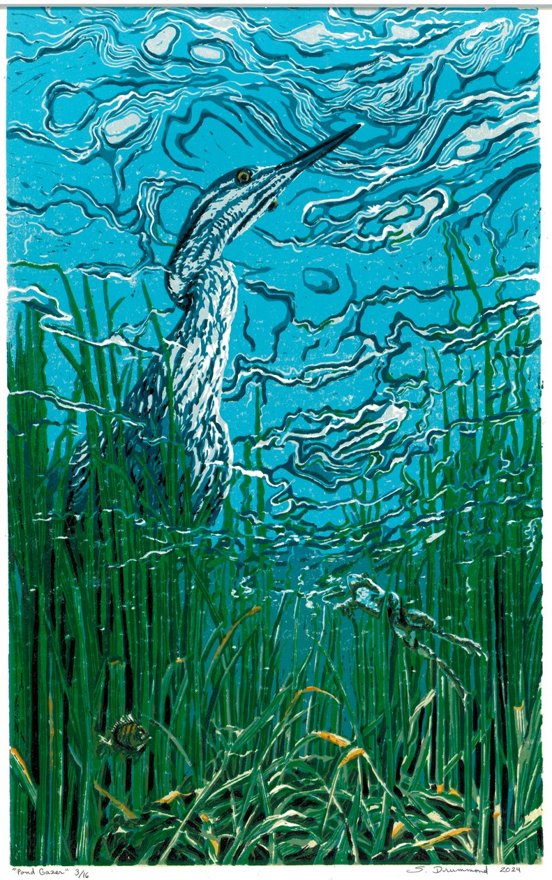Pond Gazer, 2024 (linoleumssnit) af Sarah Drummond