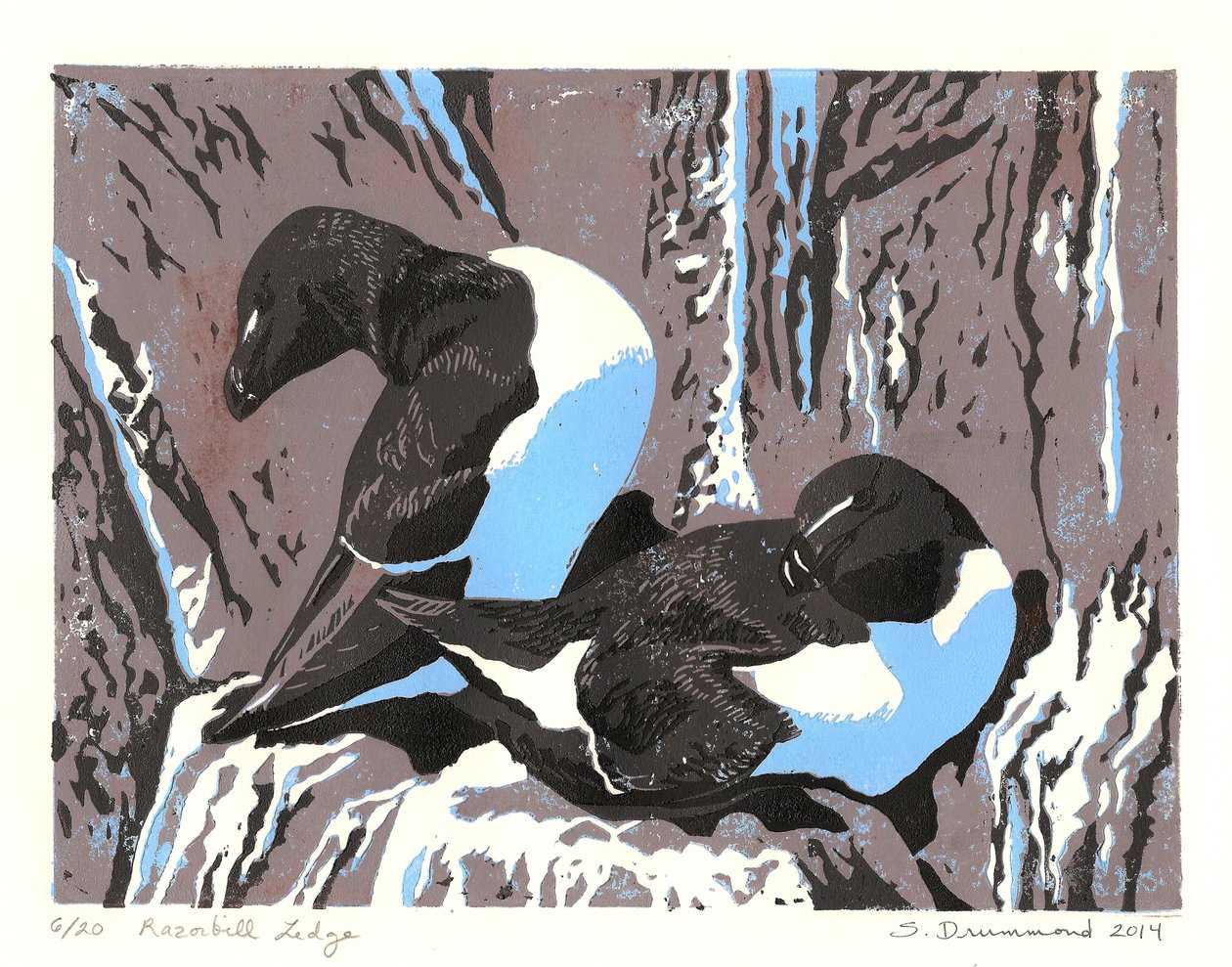 Razorbill Ledge, 2014 (linoleumssnit) af Sarah Drummond