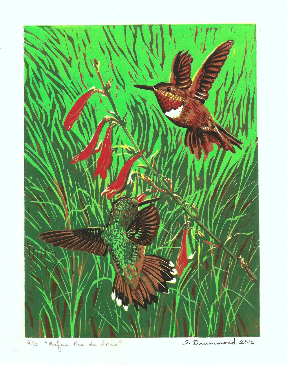 Rufus Pas de Deux, 2016 (linoleumssnit) af Sarah Drummond