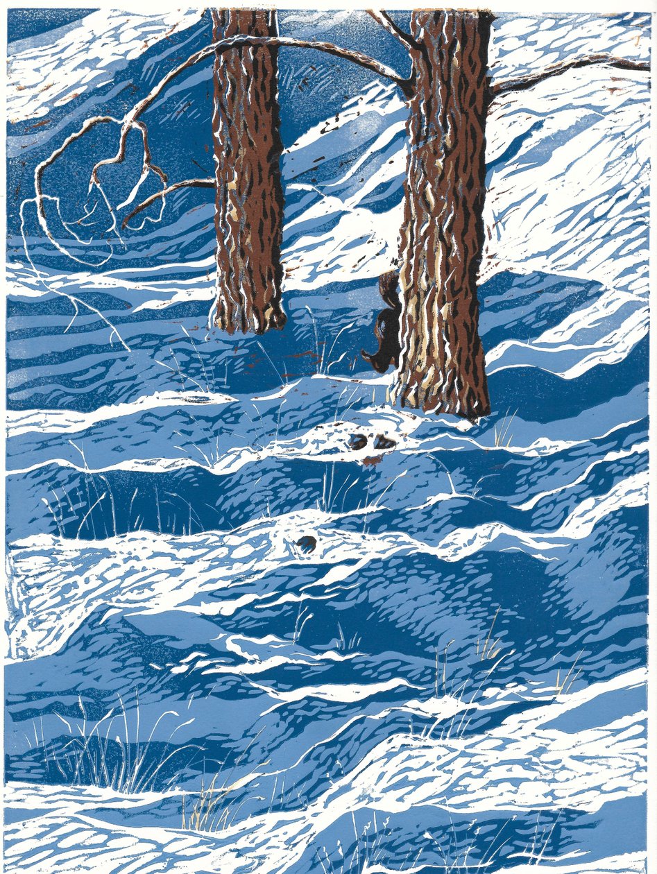 Forårssnefald, 2016 (linoleumssnit) af Sarah Drummond
